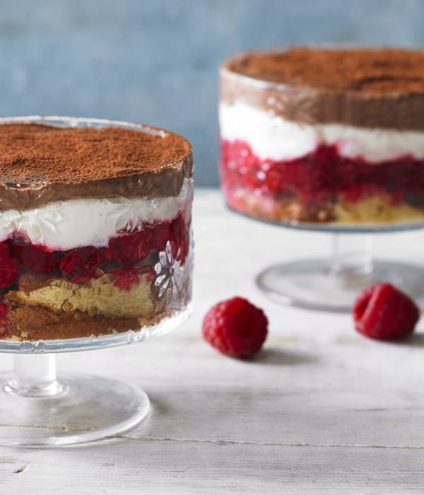 CHOCOLATE, MADELEINE & RASPBERRY TRIFLE